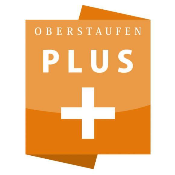 Exklusive Fewo Allgaeustern Steibis Mit Wlan Sauna Kamin Und Oberstaufen Plus Card Exterior photo